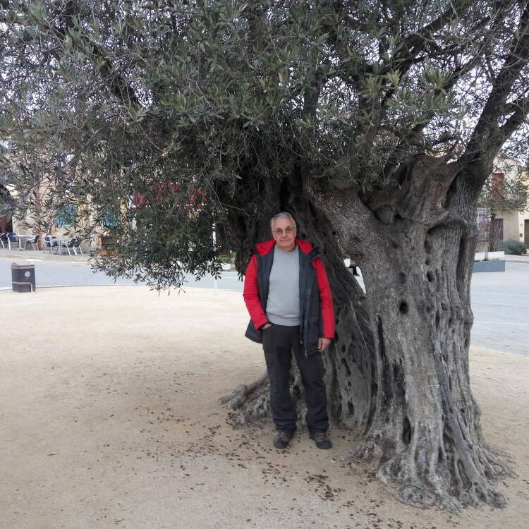 Foto de perfil de julio perez arnau