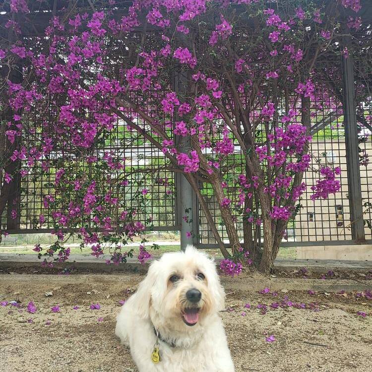 Foto de perfil de Valeria Hernandez