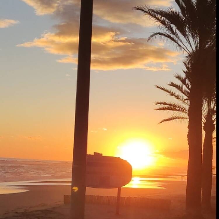 Foto de perfil de Elon