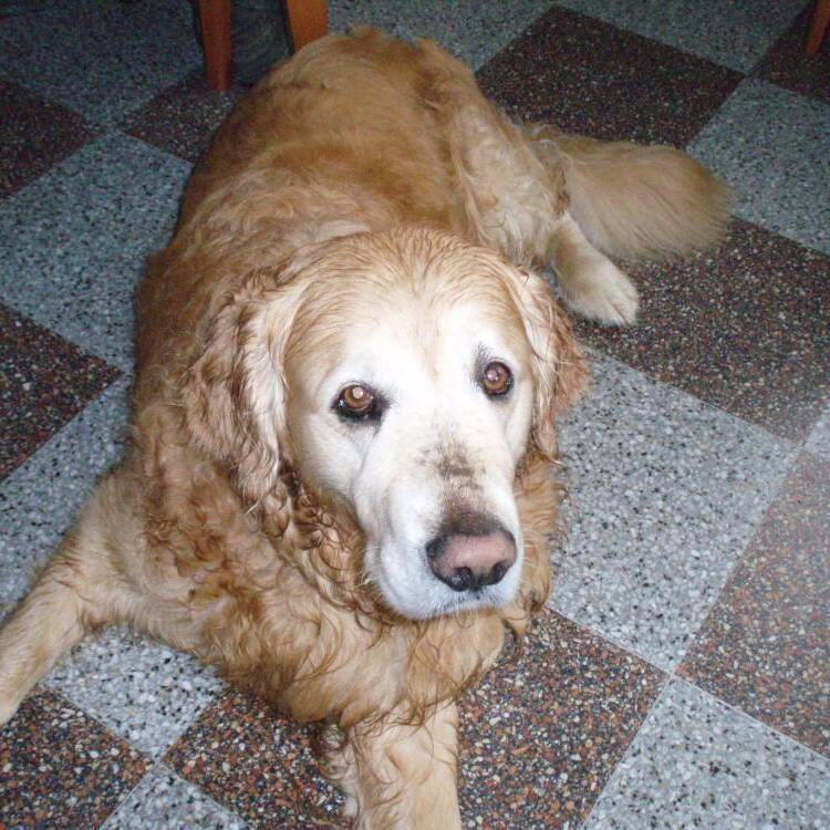 Foto de perfil de Solar
