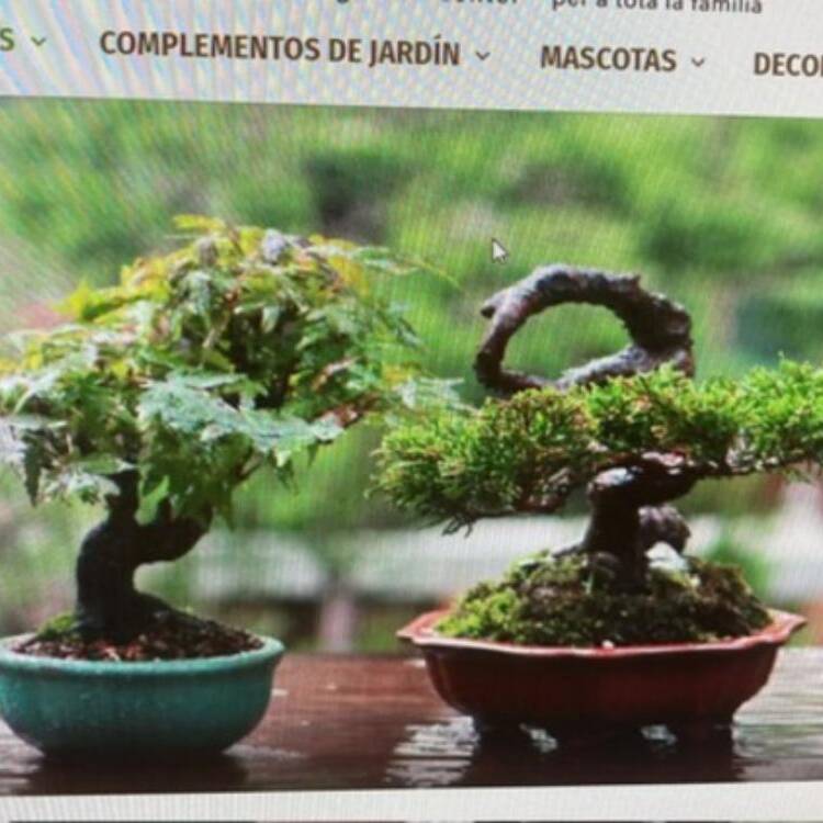Foto de perfil de Blanca