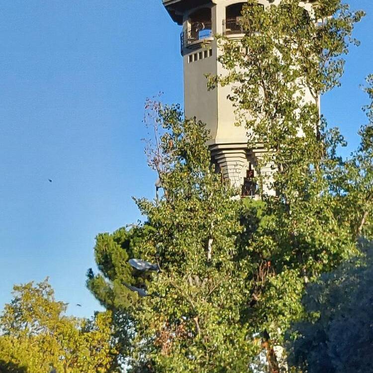 Foto de perfil de Jordi