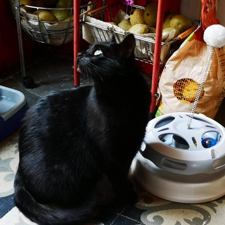 Foto de perfil de Leonor Cancer Fuster