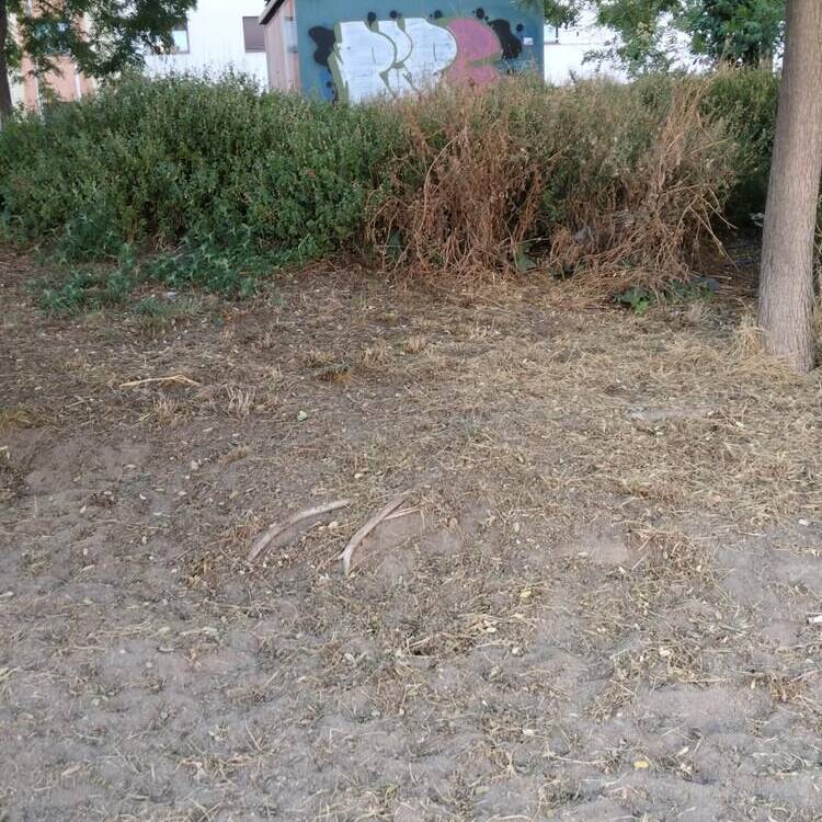 Foto de perfil de Juan