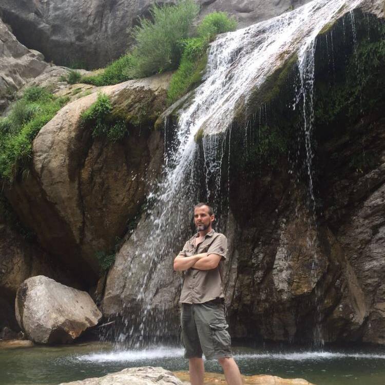Foto de perfil de Nicolas