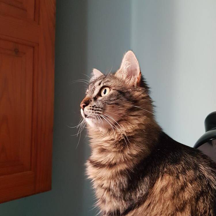 Foto de perfil de oscar