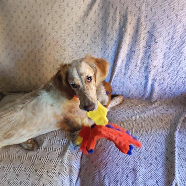 Foto de perfil de Solange