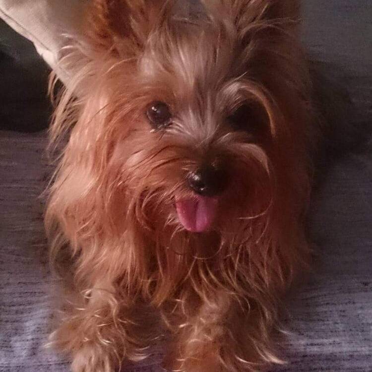 Foto de perfil de Nuria