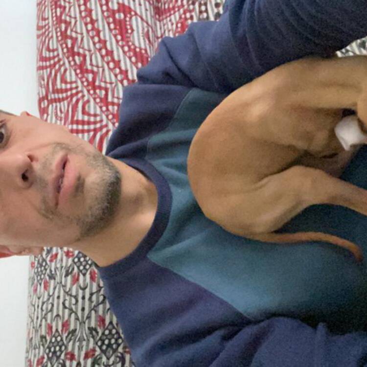 Foto de perfil de Manuel