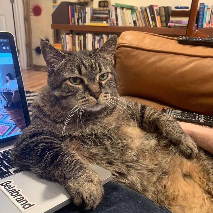 Foto de perfil de Bilbo9