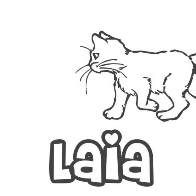 Foto de perfil de Laia