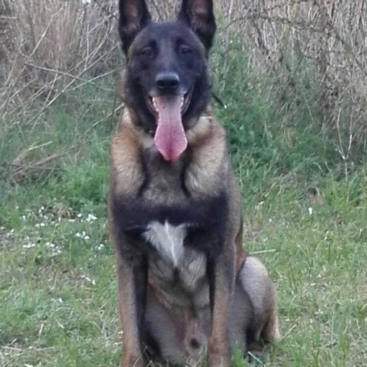 Foto de perfil de mar