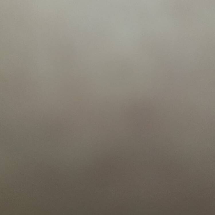 Foto de perfil de Laura