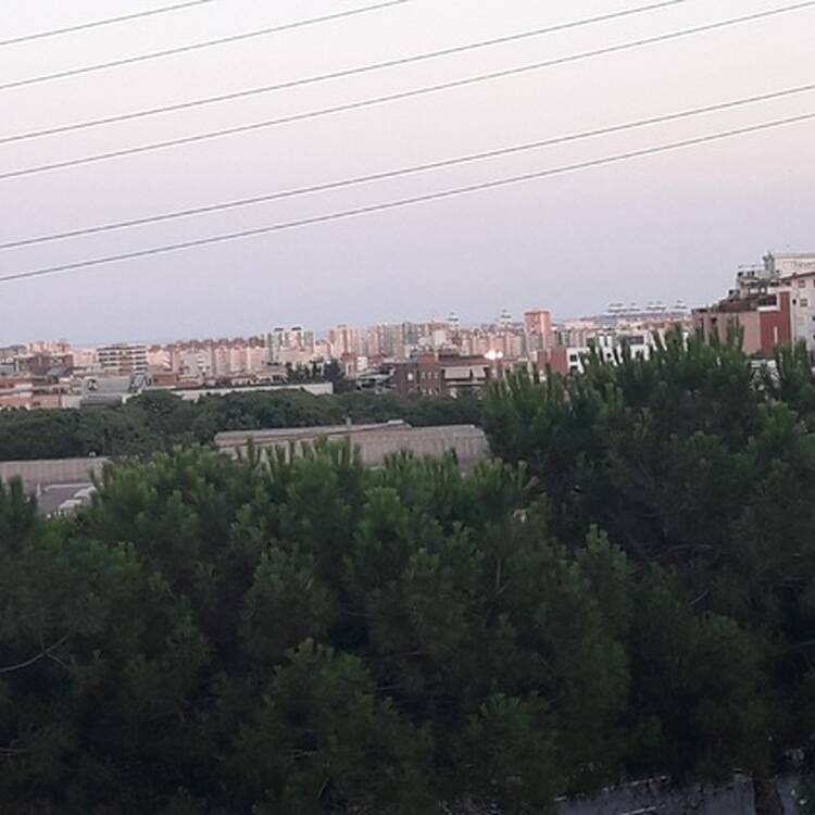 Foto de perfil de Sinfin
