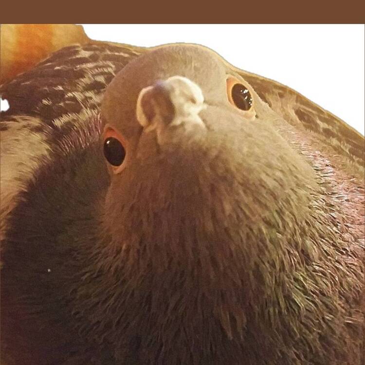 Foto de perfil de Sabrina