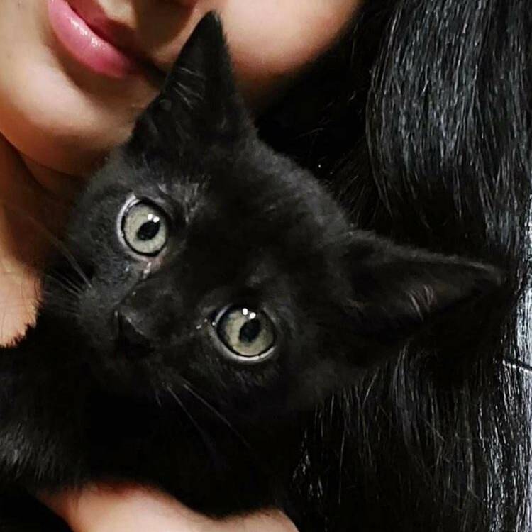 Foto de perfil de li