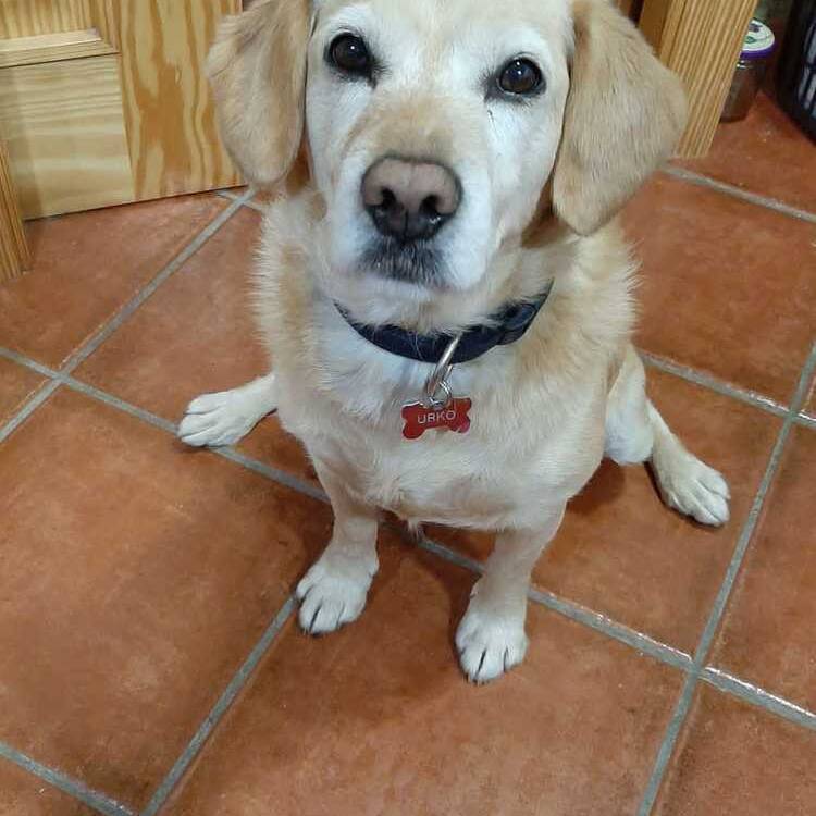Foto de perfil de Adaia