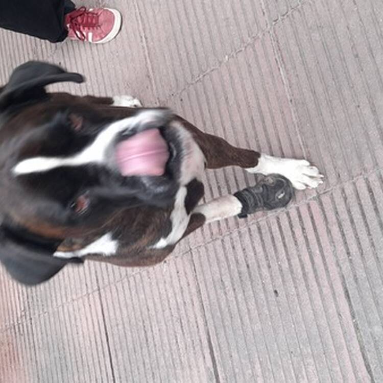 Foto de perfil de Mohamed