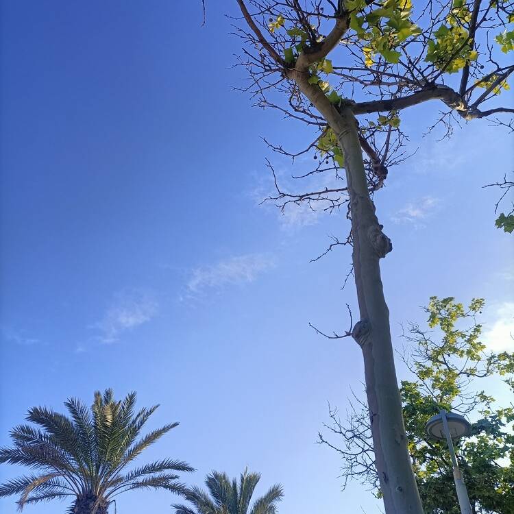 Foto de perfil de Raul