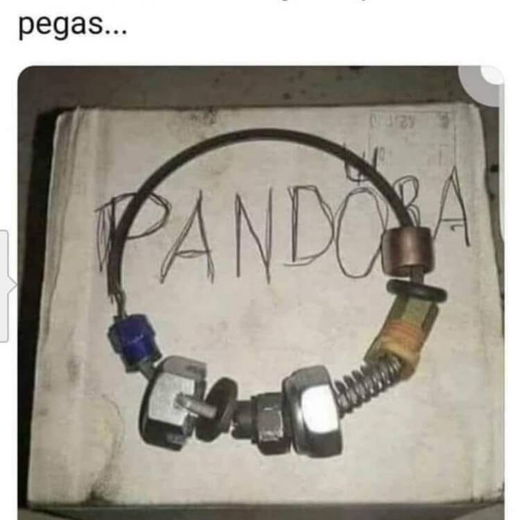 Foto de perfil de Roser