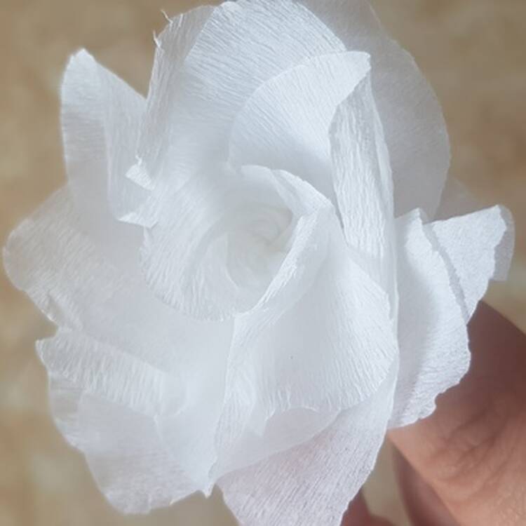 Foto de perfil de Elizabeth