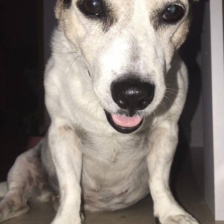 Foto de perfil de Na