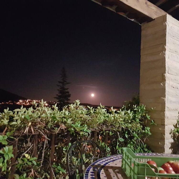 Foto de perfil de somnis67