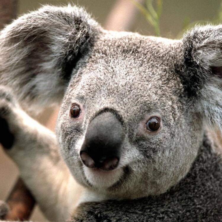 Foto de perfil de Monica