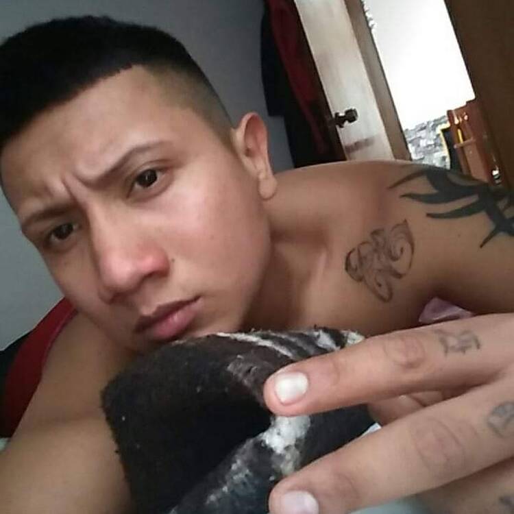 Foto de perfil de Jeanpieer alvarado