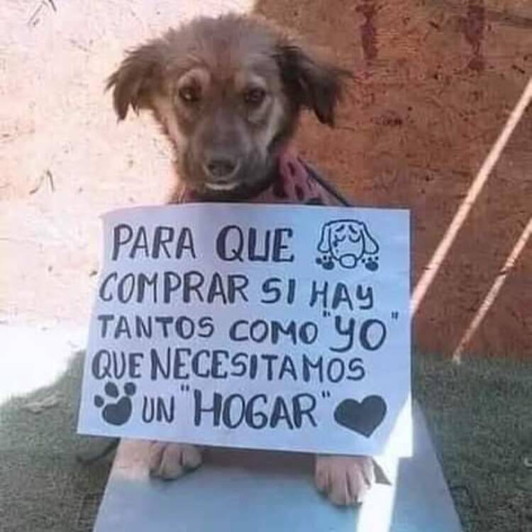 Foto de perfil de charo