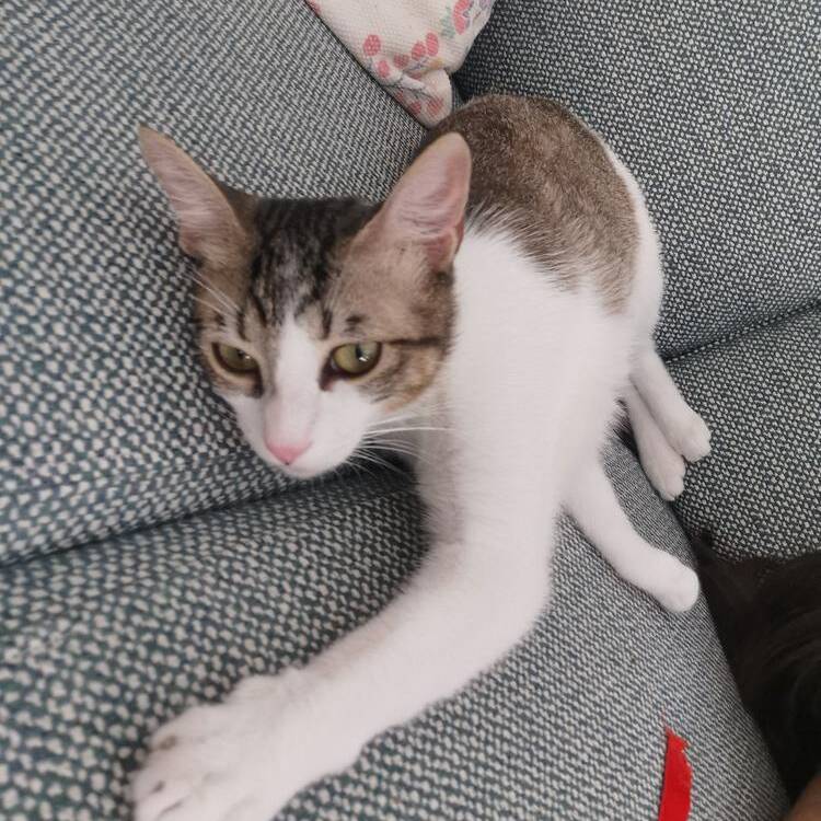 Foto de perfil de mariana