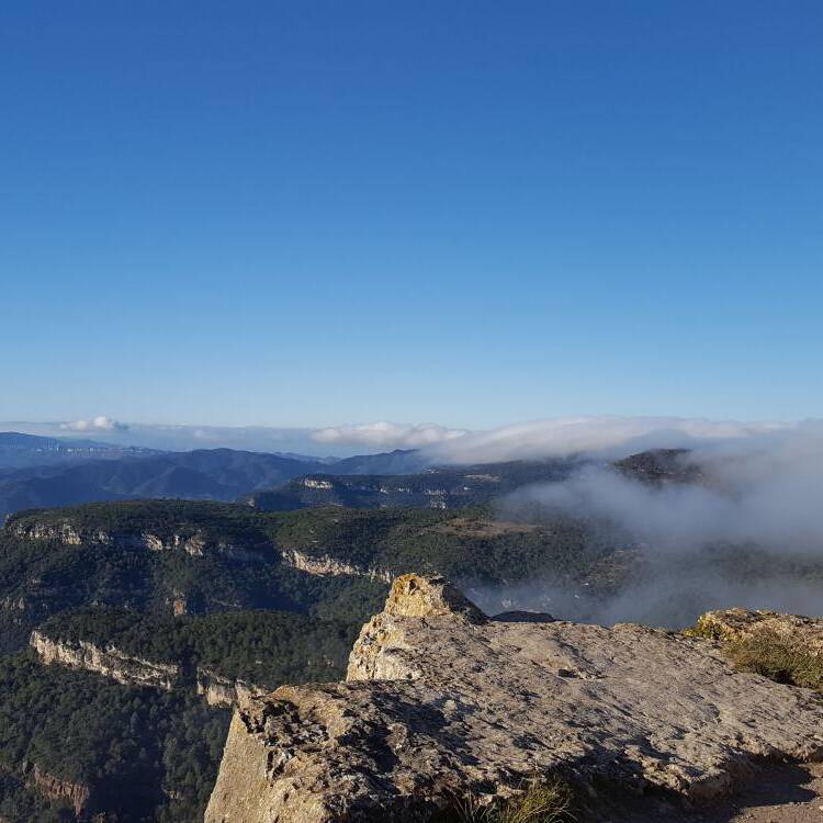 Foto de perfil de lungta