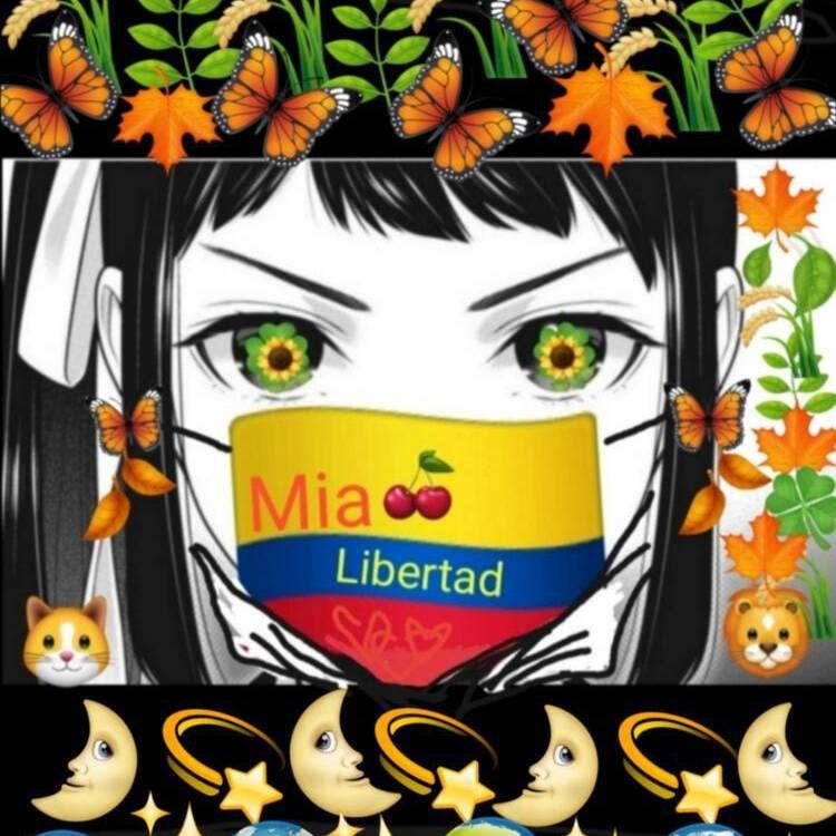 Foto de perfil de mia