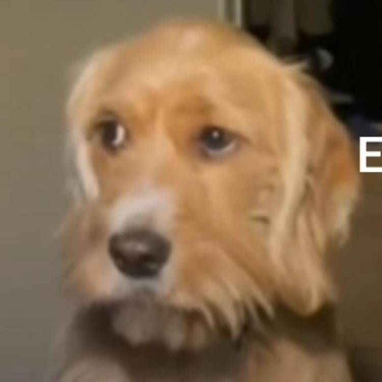 Foto de perfil de Estefania