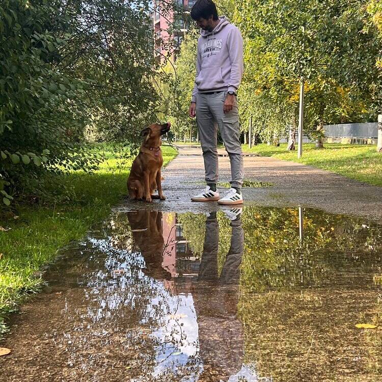 Foto de perfil