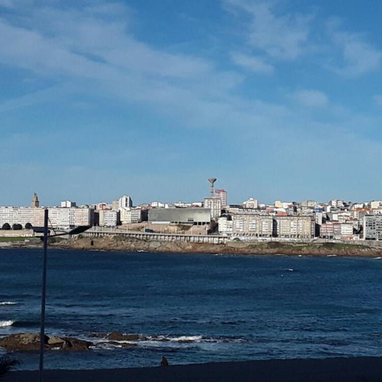 Foto de perfil de Antonio