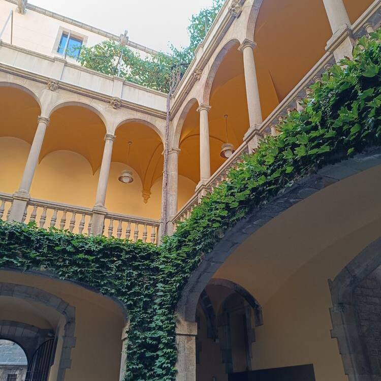 Foto de perfil de P