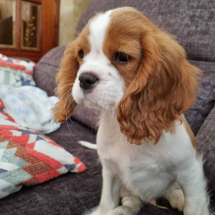 Foto de perfil de Susana