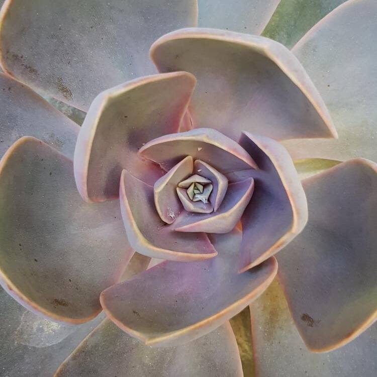 Foto de perfil de Esther