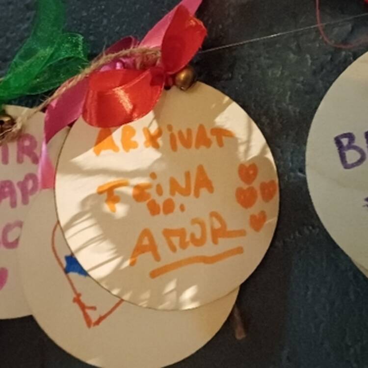 Foto de perfil de Meri