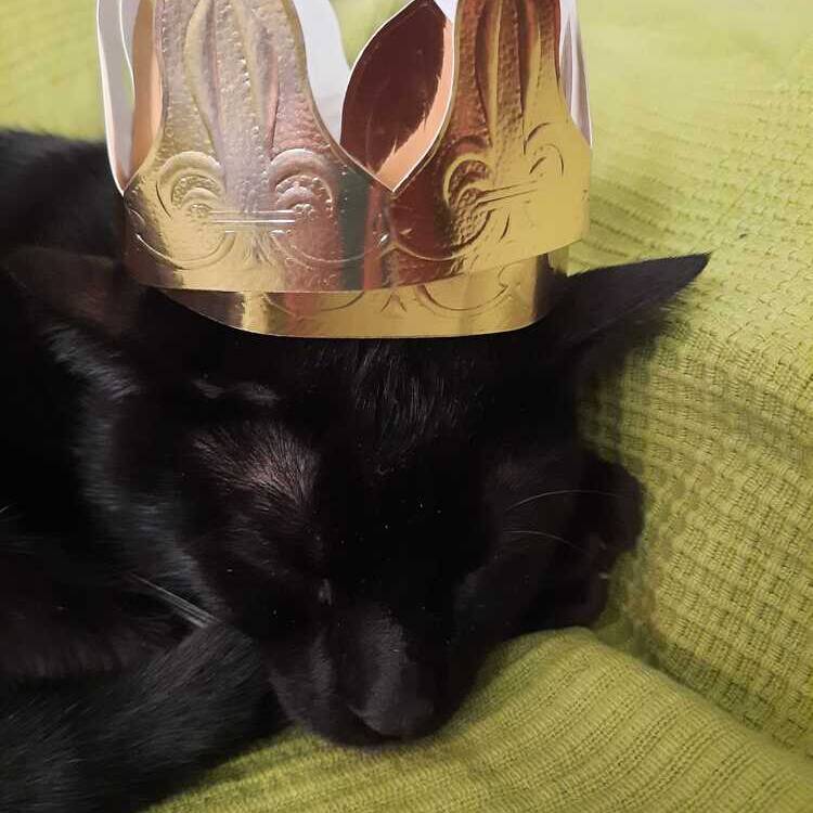 Foto de perfil de Carlos