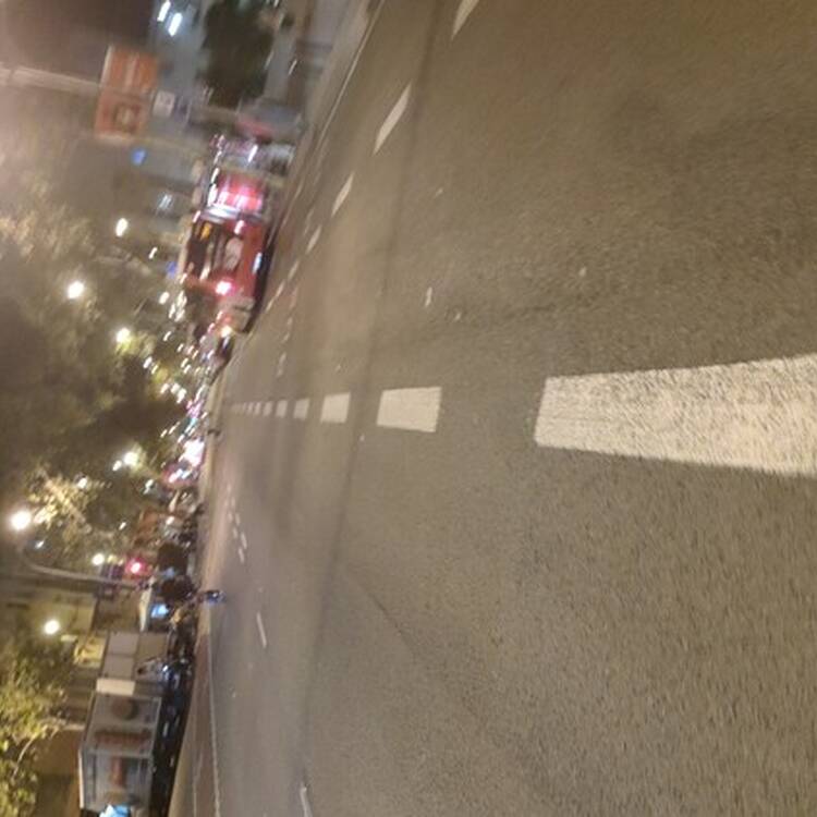 Foto de perfil de Felipe Manzano
