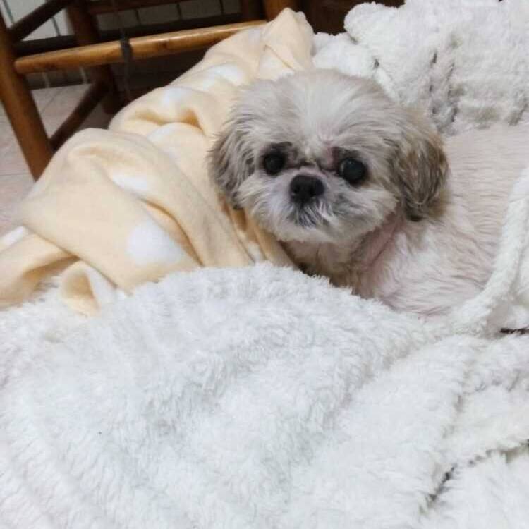 Foto de perfil de nuria