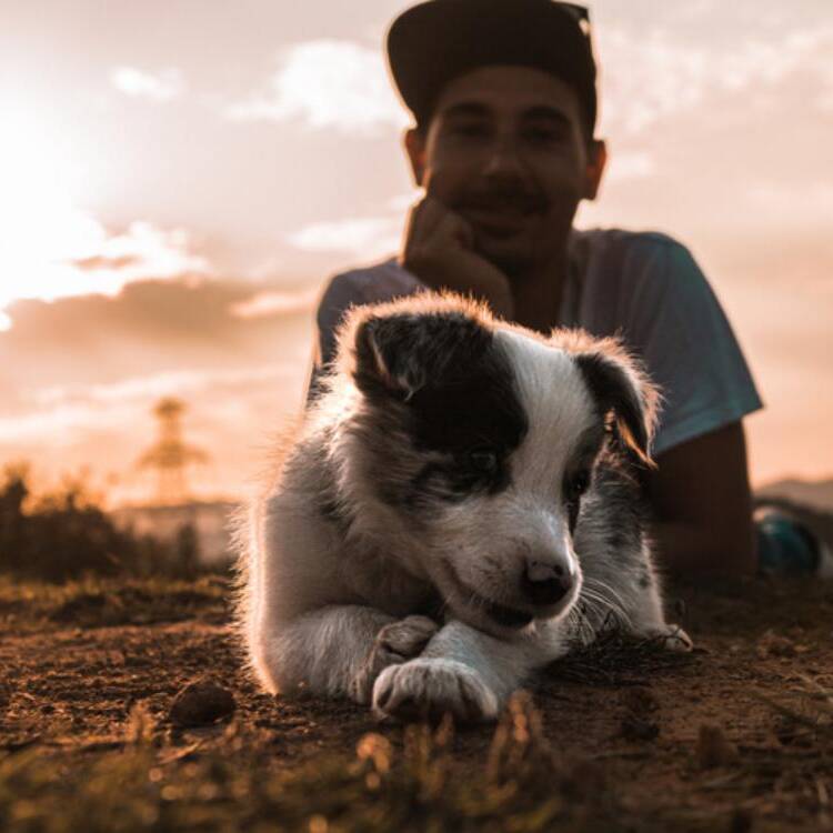 Foto de perfil de Eric