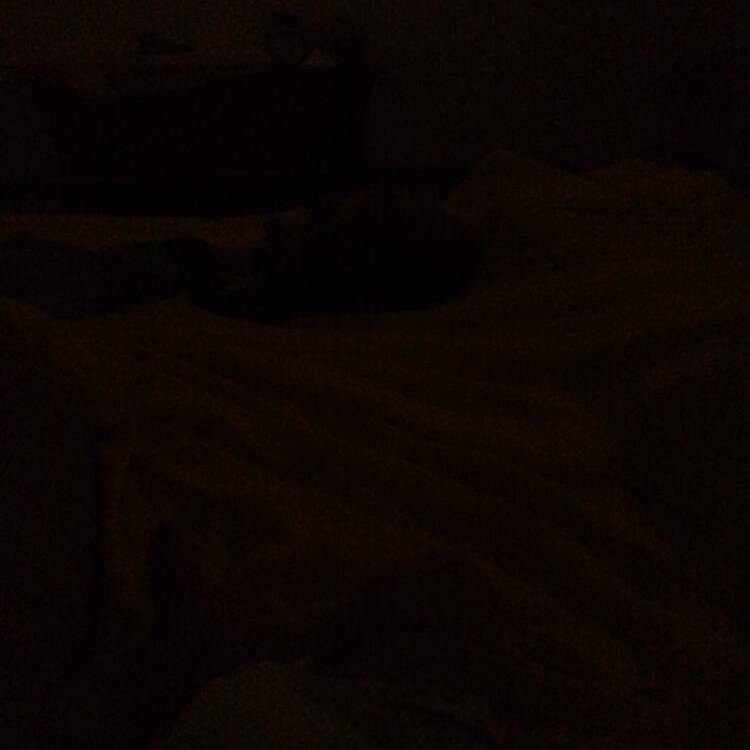Foto de perfil de Monica