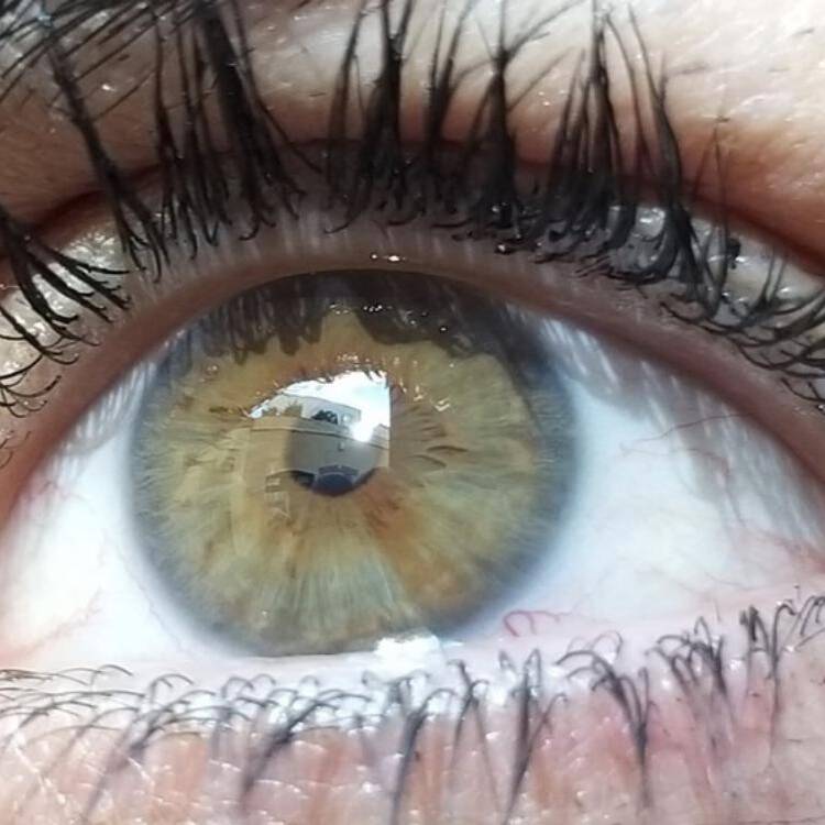 Foto de perfil de Jo