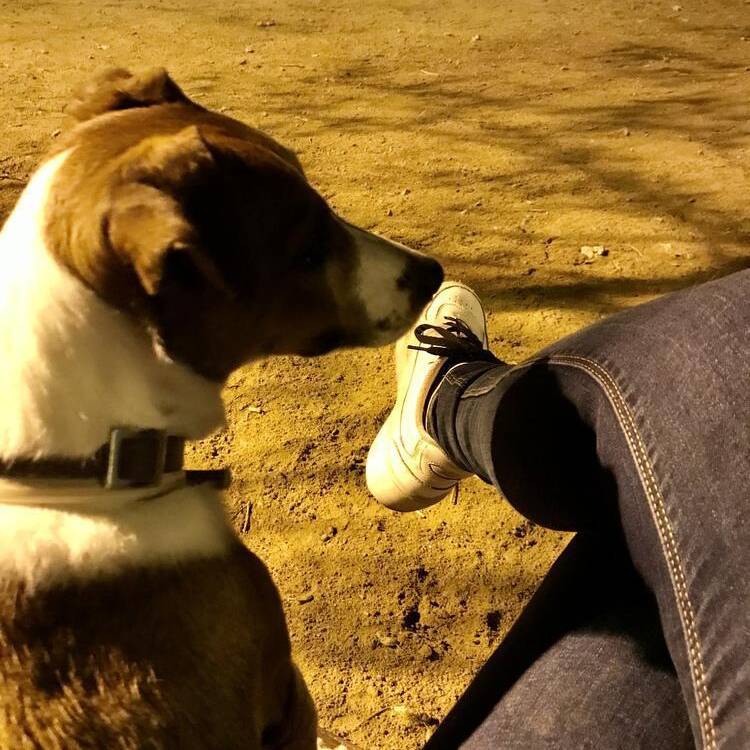 Foto de perfil de Cristina