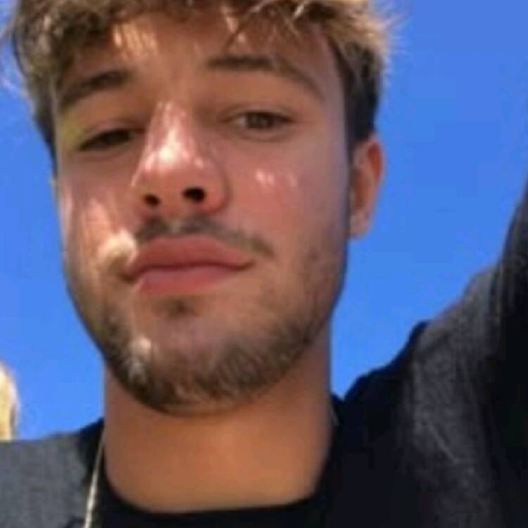 Foto de perfil de Pedro