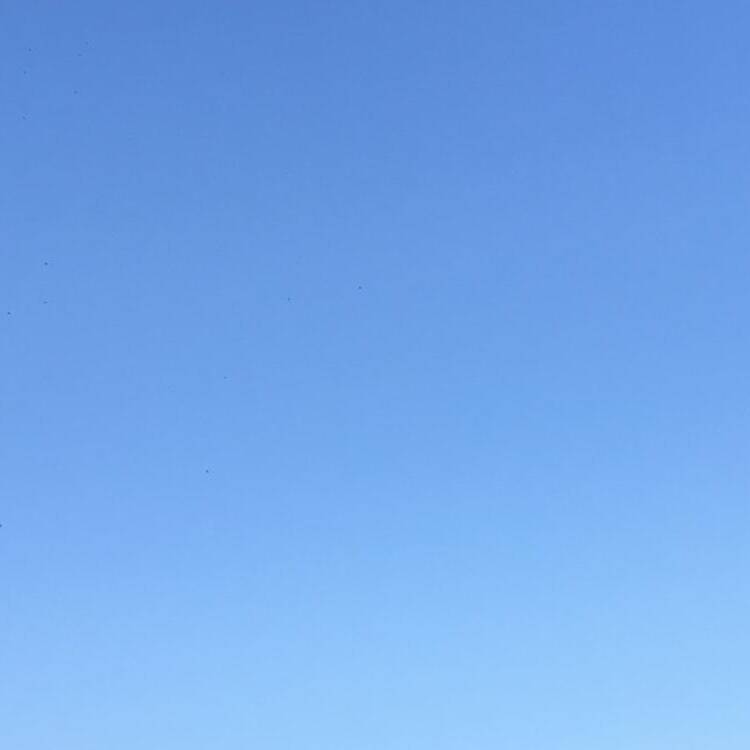 Foto de perfil de Antoniobc