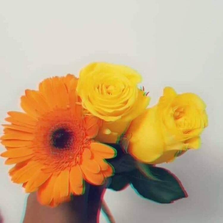Foto de perfil de Lm2
